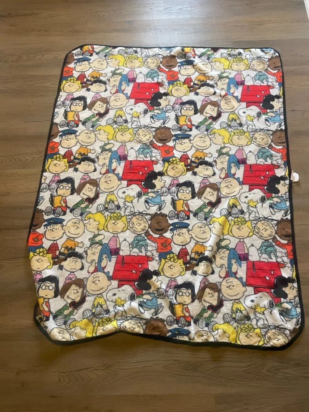 Peanuts Bioworld Charlie Brown Throw Blanket 55